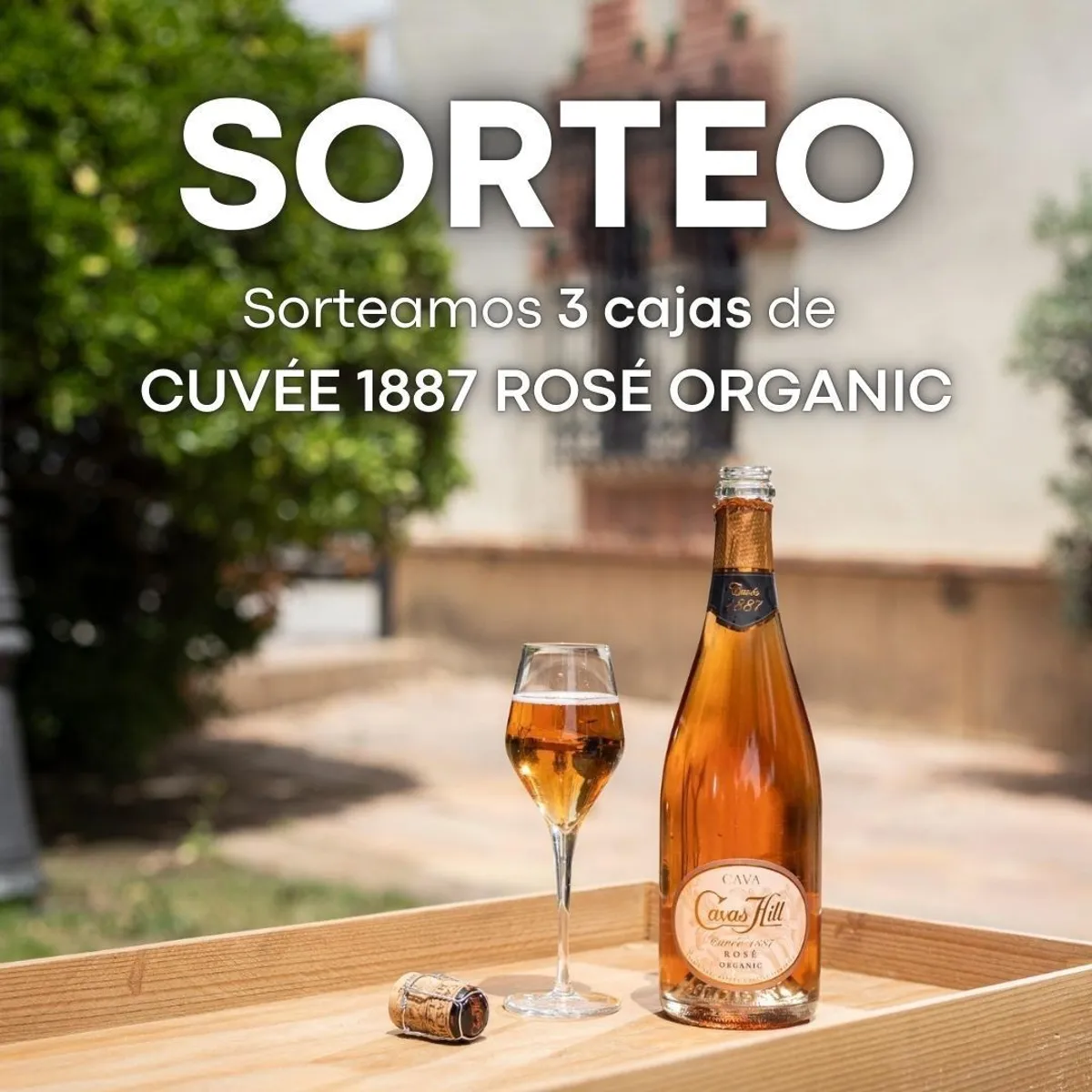 Sorteo Ferrer Wines: Gana 3 Cajas De 6 Botellas De Cuvée 1887 Rosé Organic