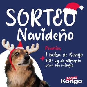 Sorteo Kongo: 1 bolsa de alimento Kongo y 100 kg para el refugio que elija el ganador